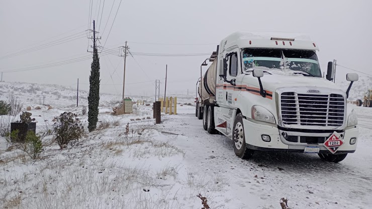 Collection of four insulated travel bottles on wooden shelf.